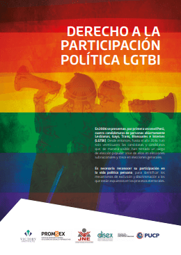 Derecho a la participacion politica LGBTI cover