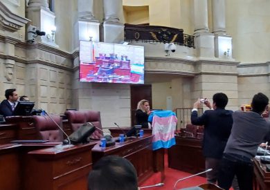 Colombian Congress Trans Pride Flag